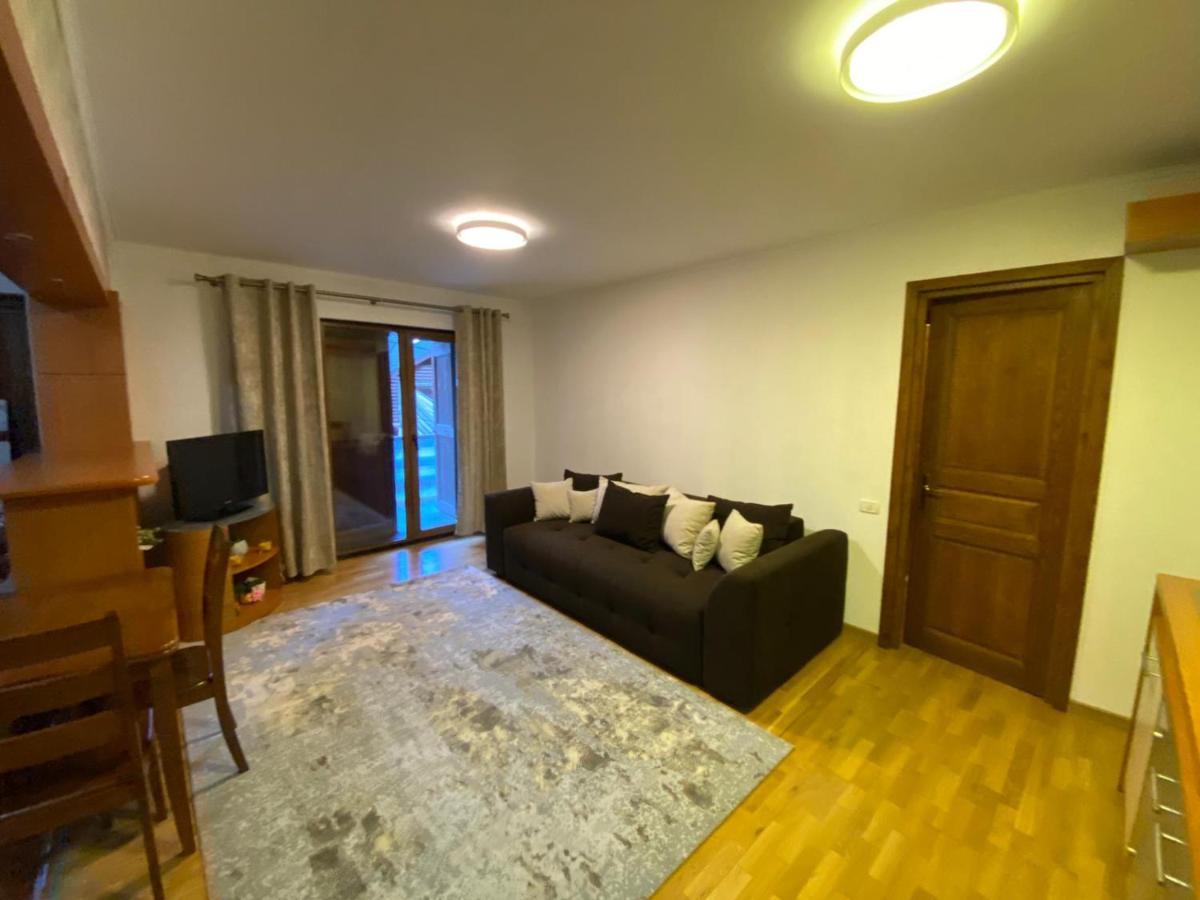 Maria Apartament Sinaia Exterior foto