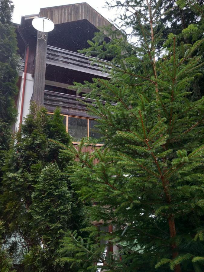 Maria Apartament Sinaia Exterior foto